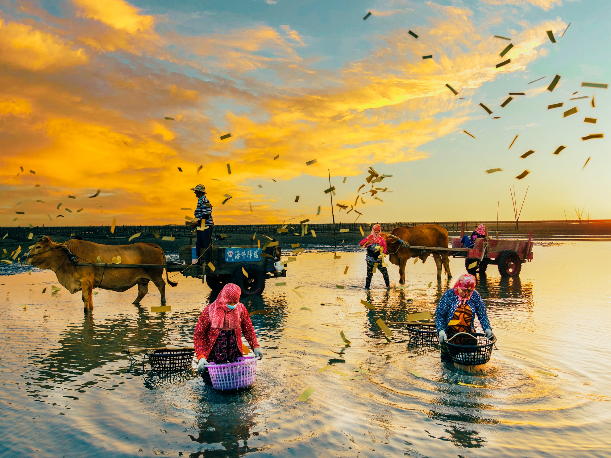 3月- 佳作-吳(糸秀)華 –芳苑海牛